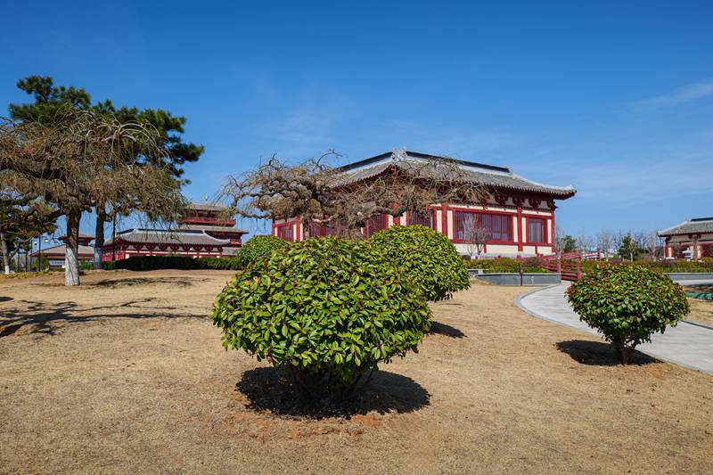 成都遛娃记｜4-5岁小神兽的熊猫乐园与美食探险，这么玩才不累！-第2张图片-四川省中国青年旅行社